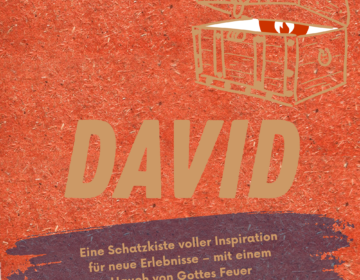 Abenteuerbuch - David